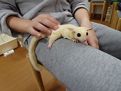 2019-04 Japan (Tokyo 2)